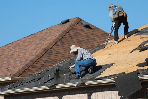 Best Metal Roofing Installation  in Lula, GA