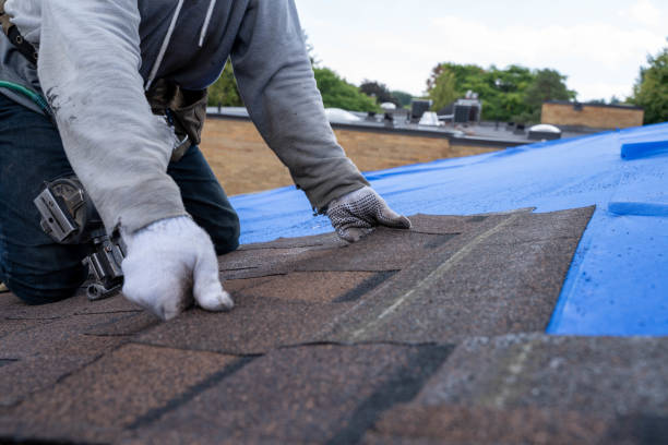 Best Solar Panel Roofing Installation  in Lula, GA